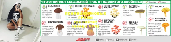 мяу мяу мука Медвежьегорск