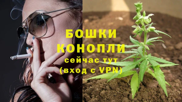 мяу мяу мука Медвежьегорск
