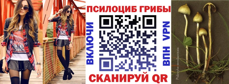 даркнет сайт  блэк спрут ссылка  Галлюциногенные грибы мицелий  Саранск 