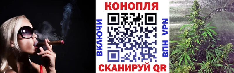 как найти   Саранск  Бошки Шишки семена 